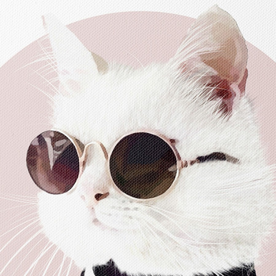 Wall Art * | 18X24 Fashion Cat Canvas On Sale