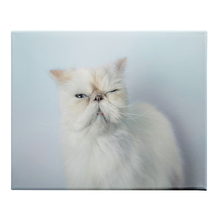 Wall Art * | 12X16 Cat Canvas Wall Art Discounts