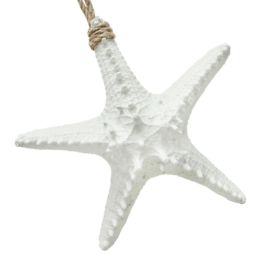 Wall Art * | Ty Pennington Hanging White Starfish, 8 Online Store