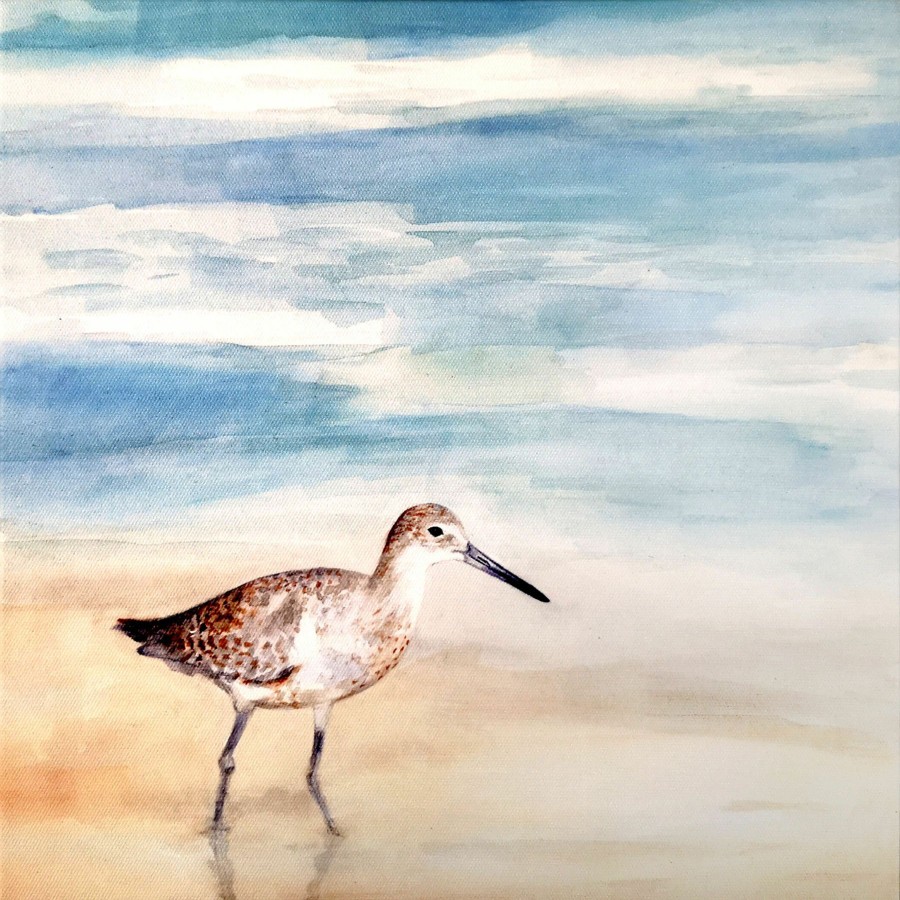 Wall Art * | Speckled Willet Canvas Wall Art, 12 Glamor Model