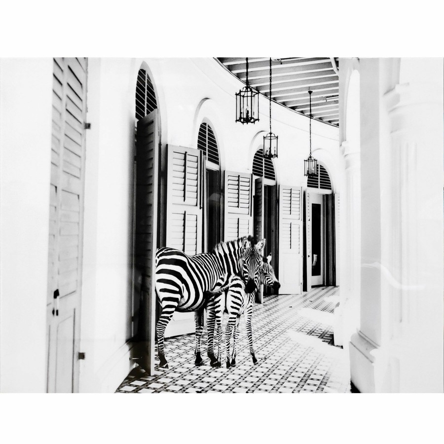 Wall Art * | Zebra Hotel Glass Coated Canvas Wall Art, 40 30 Hot Sell