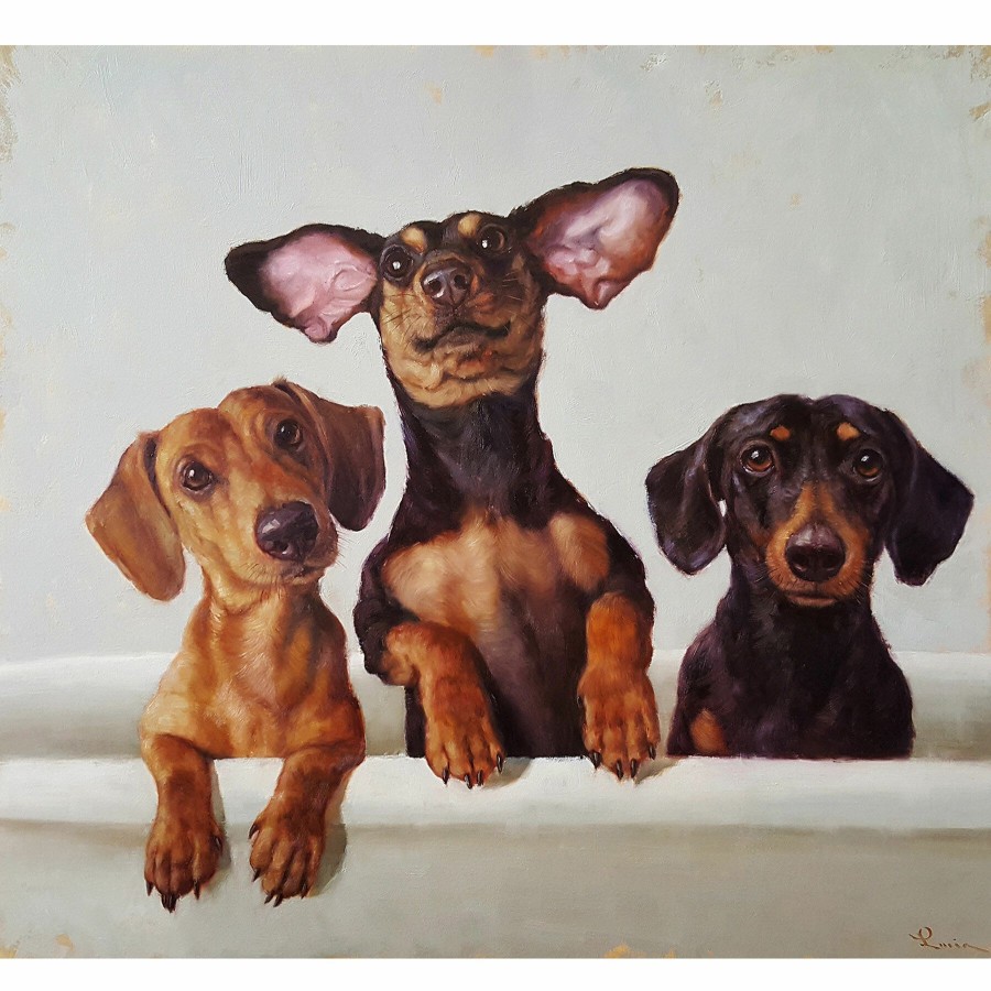 Wall Art * | 12X12 Three Dogs In Bath Tub Canvas Wall Art Glamor Model