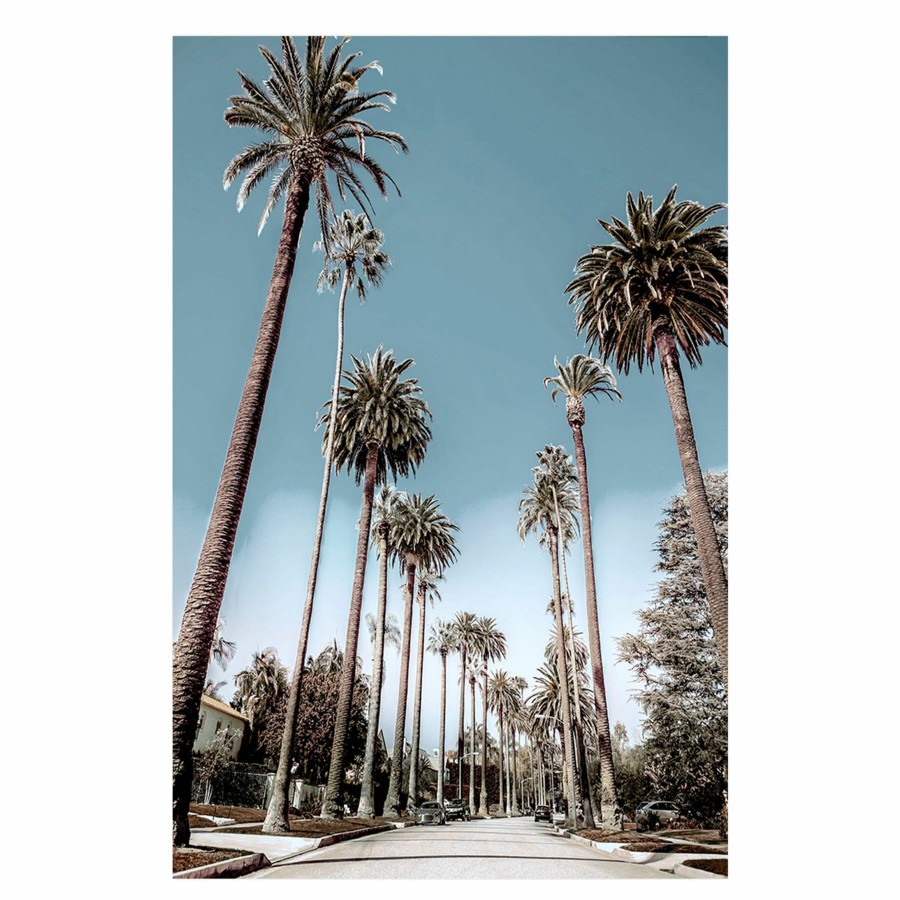 Wall Art * | Palm Tree Street Canvas Wall Art, 20 30 At The Best Price