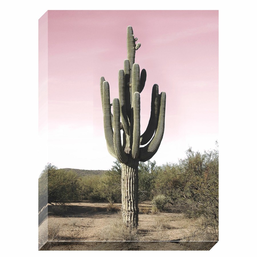 Wall Art * | Pink Cacti Textured Canvas Wall Art, 18 24 New Models